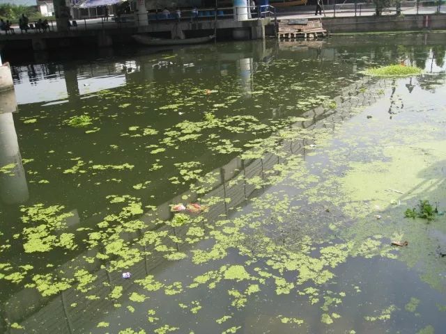 城市黑臭河道如何治理？河道黑臭水體治理思路