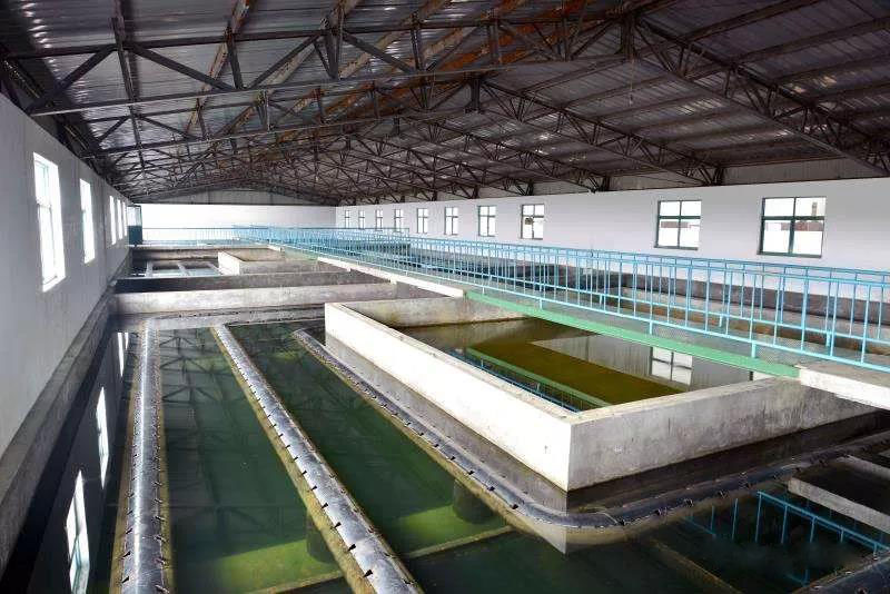 什么是制糖廢水？制糖廢水處理技術(shù)