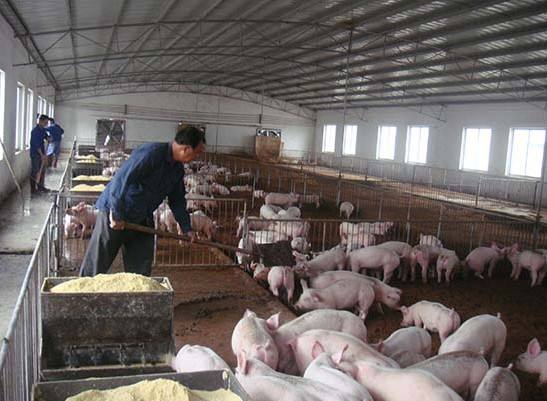 什么是養(yǎng)殖廢水？養(yǎng)殖廢水處理工藝